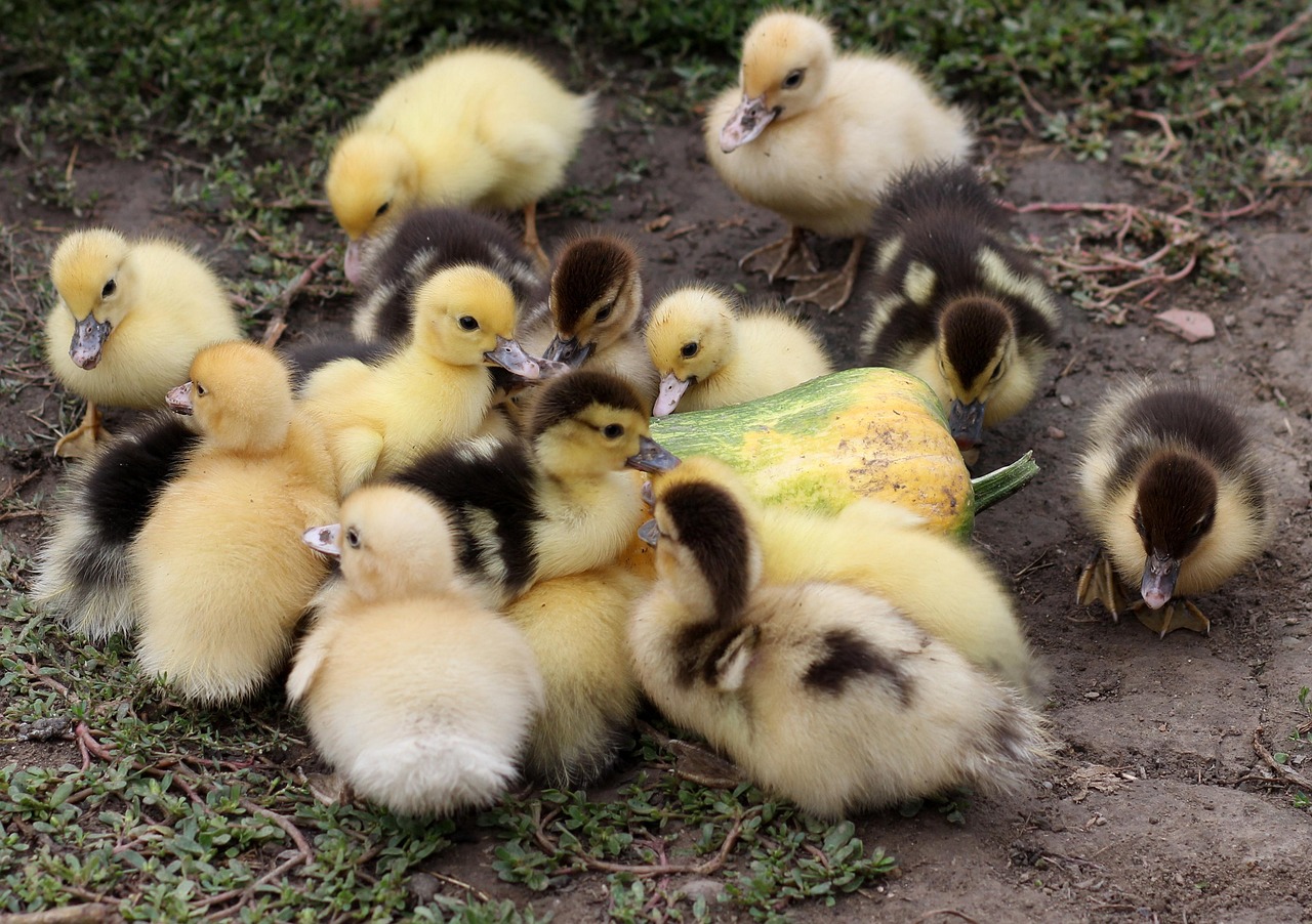 신용카드 할부 수수료 비교