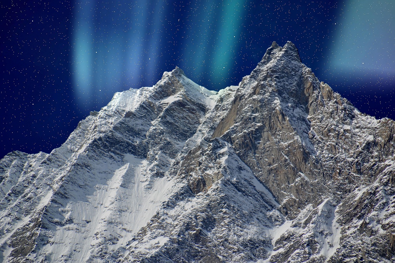 신용카드 수수료