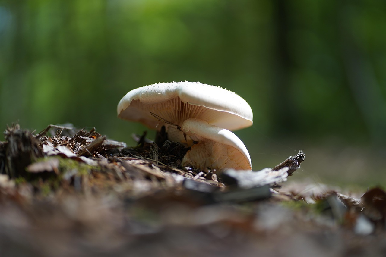 신용카드 사이즈 mm