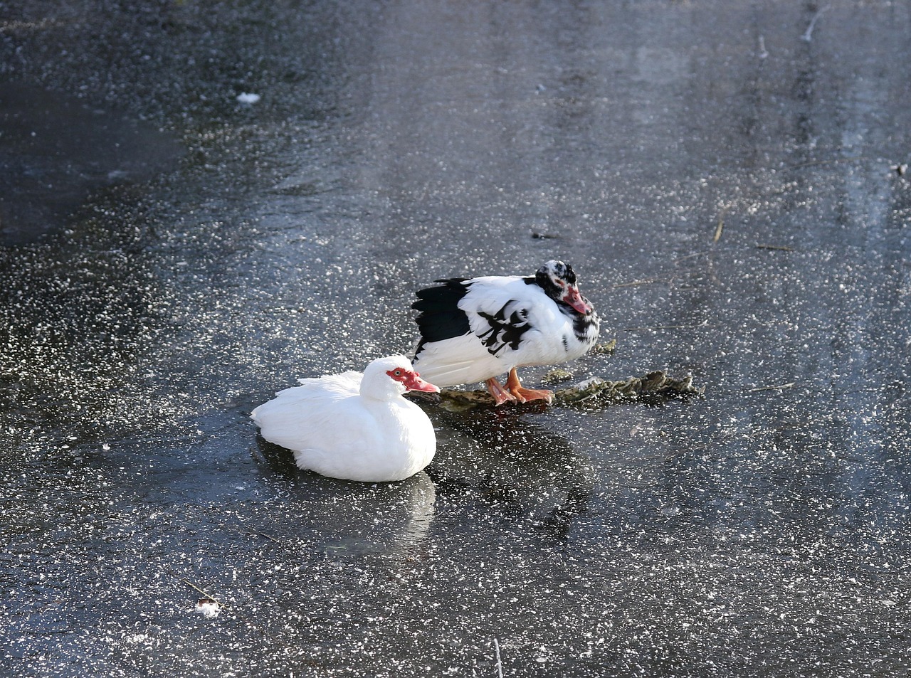 신용카드 총한도 할부 한도