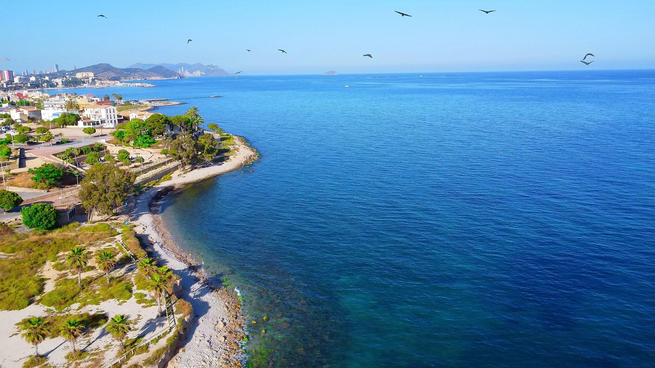 포인트 적립 신용카드 2%