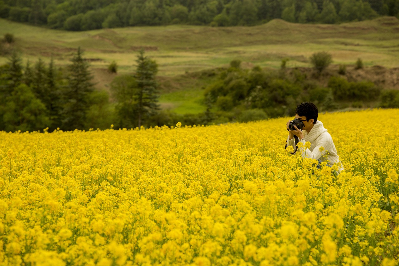 연말정산 신용카드 체크카드 계산