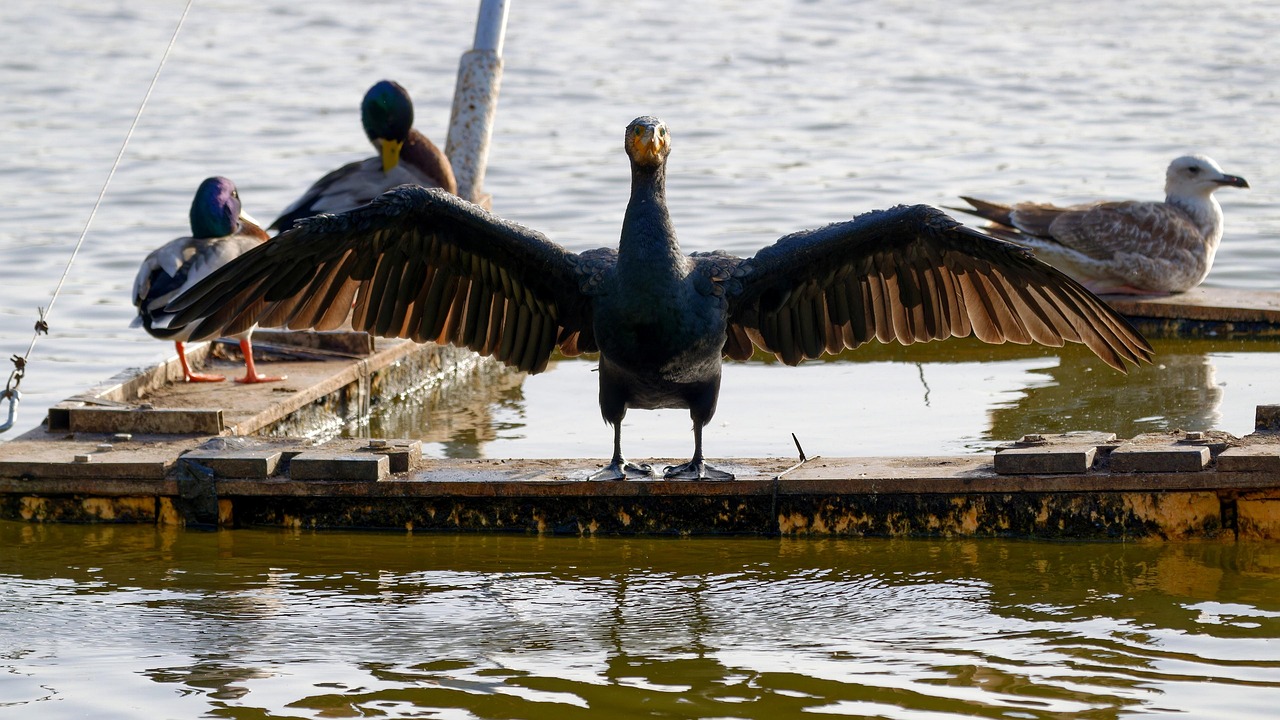 신용카드 할부 한도 복구