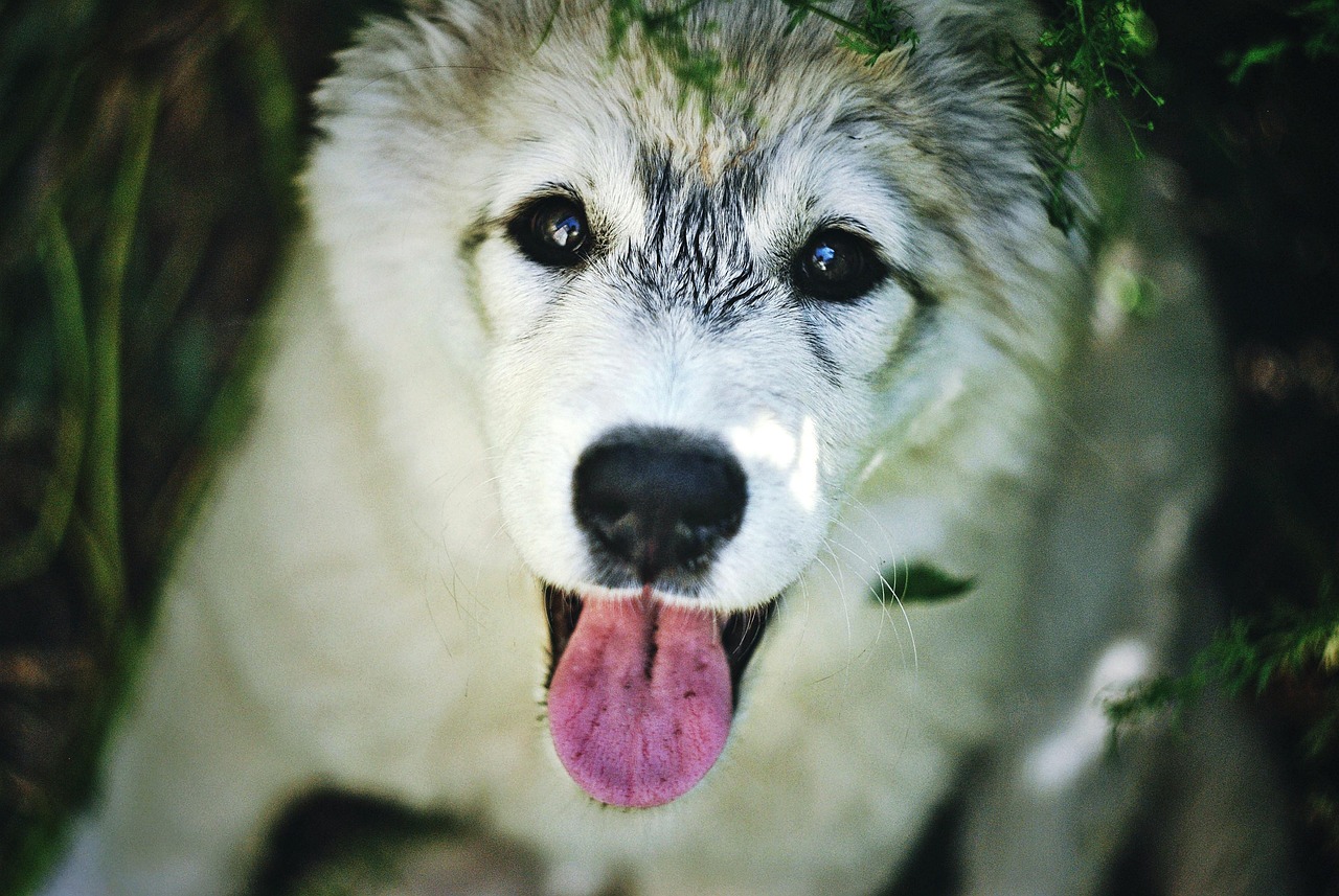 신용카드 연체기록 삭제 요청